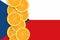 Czech flag and citrus fruit slices vertical row