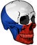 Czech Flag Painted on a Skull