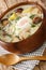 Czech homemade kulajda soup with potatoes, wild mushrooms, egg and dill close-up in a bowl. vertical