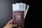 czech passport with money
