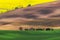 Czech Republic. South Moravia. Moravian field, plowed land,