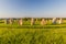 Czech Stonehenge in Holasovice village, Czech Republ