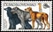 CZECHOSLOVAKIA - CIRCA 1990: stamp, printed in Czechoslovakia, shows a Afghan Hound, Irish Wolfhound, Greyhound, series World Dogs