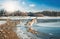 Czechoslovakian wolfdog in beautiful winter nature. wolfhound.