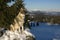 Czechoslovakian wolfdog at Polana mountains