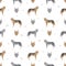 Czechoslovakian wolfdog seamless pattern. Different poses, coat colors set