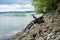 CZORSZTYN, POLAND - Jul 14, 2019: Bicycle with panniers on the rocky beach of Czorsztyn Lake