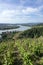 The CÃ´tes-du-RhÃ´ne vineyards around Condrieu in France