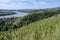 The CÃ´tes-du-RhÃ´ne vineyards around Condrieu in France