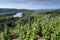 The CÃ´tes-du-RhÃ´ne vineyards around Condrieu in France