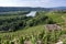 The CÃ´tes-du-RhÃ´ne vineyards around Condrieu in France