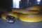 d\\\'albertis python snake