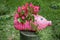 D. I. y plastic bottle for children, crafts with children, reuse water bottle. Pink pots in the form of pigs. Recycling