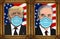 D.Trump and J.Biden masked, presidential portrait, covid19, face mask covid-19 pandemic