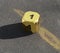 D6 six-sided golden metallic die dice on foam background in bright sunshine - 1 on top face