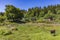 Dabadzveli landscape Borjomi Samtskhe Javakheti Georgia Europe landmark