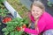 At the dacha, the girl collects ripe strawberries from the garden.