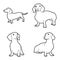 Dachshund Animal Vector Illustration Hand Drawn Cartoon Art