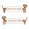 Dachshund background set. Funny dogs frames, isolated vector illustration.