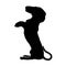 Dachshund badger dog breed, isolated pedigree silhouette, vertical illustration, large detailed black macro closeup, kennel club