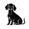 Dachshund black icon on white background. Dachshund silhouette