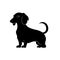 Dachshund black icon on white background. Dachshund silhouette