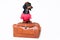 Dachshund breed dog, black and tan, in a cowboy hat and pink t-shirt standing on a vintage suitcase for travel on vacation, isolat