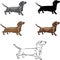 Dachshund, dachshund figure, vector, different positions