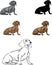 Dachshund, dachshund figure, vector, different positions