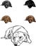 Dachshund, dachshund figure, vector, different positions