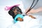 Dachshund dog, black and tan, sleeping in bed with high fever temperature, ice bag on head,  covered by a blanket, vet auditions a