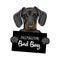 Dachshund Dog criminal. Police mugshot. Dog convict, justice. Dachshund prison. Vector.