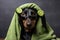 Dachshund dog in a green towel with lime slices, Dog dachshund, black and tan, relaxed from spa procedures on the face with