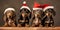 Dachshund dog puppies with red Christmas santa hats on brown background