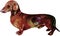 Dachshund dog realistic oil painting illustration