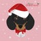 Dachshund dog with red Santa`s hat and Christmas bells