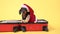 Dachshund dog in Santa costume and hat is sit in open suitcase, preparing to go on vacation for the Christmas holidays