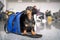 Dachshund dog sits in pet carrier in public place and waits owner. Safe travel