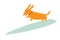 Dachshund dog surfers, vector cartoon illustration