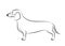 Dachshund dog. Vector outline stock illustration realistic lines silhouette for logo, print,tattoo, coloring book