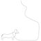 Dachshund dog walk line drawing vector
