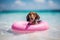 Dachshund Dreams: A Laid-Back Pup in Sunglasses Enjoying The Summer Fun on a Float - Generative AI