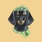 Dachshund face. Dog portrait muzzle head. Dog breed. Digital illustration