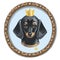 Dachshund face. Dog portrait muzzle head. Dog breed. Digital illustration