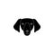 Dachshund face icon. Popular Breed of dogs element icon.