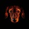 Dachshund Face Shape In Red Fire On Black Background. Generative AI