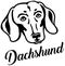 Dachshund head with name