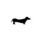 Dachshund icon. Popular Breed of dogs element icon.