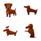 Dachshund icons set cartoon vector. Dachshund dog in action