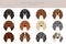 Dachshund long haired clipart. Different poses, coat colors set